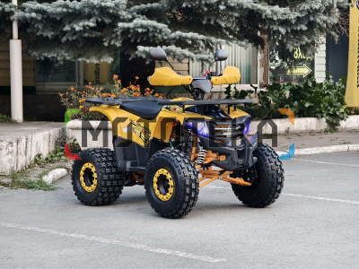 Квадроцикл детский R - MOTO (Р - Мото) Lion 125 A жёлтый (машинокомплект) Квадроцикл детский R - MOTO (Р - Мото) Lion 125 A жёлтый (машинокомплект)